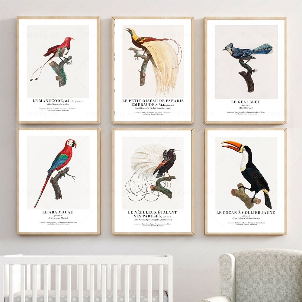Furniture Paradise & Hardware Ghaziabad Reviews - Vintage Paradise Bird Wall Art ภาพวาดผ้าใบพิพิธภัณฑ์นอร์ดิกโปสเตอร์และพิมพ์สุนทรียศาสตร์ภาพสําหรับห้องนั่งเล่นตกแต่งบ้าน