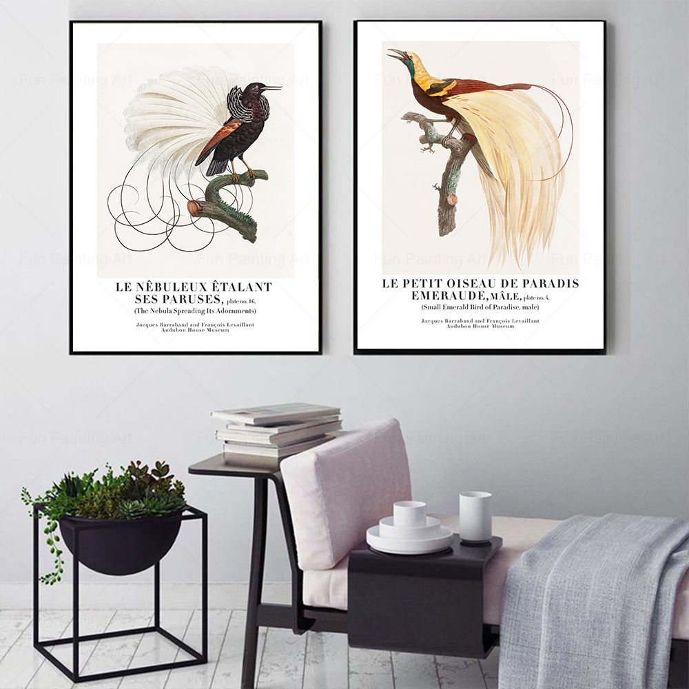 Vintage Paradise Bird Wall Art - Furniture Paradise & Hardware Ghaziabad Reviews บทวิจารณ์และราคา